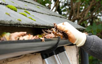gutter cleaning Maxton