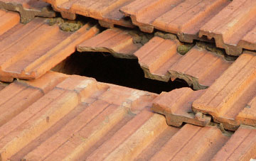 roof repair Maxton